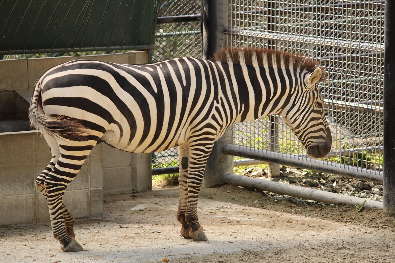 福岡で30代が利用する婚活アプリのおすすめは？