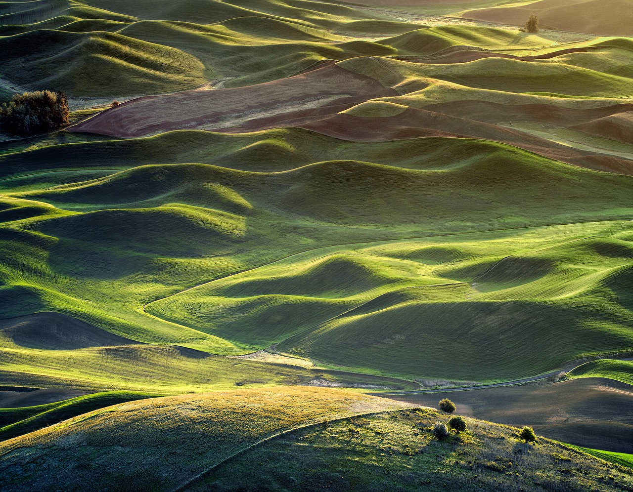 婚活アプリで30代がいいねがこない理由とは？